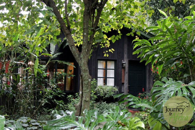 The lush plants and trees hidding each cottage from view. 