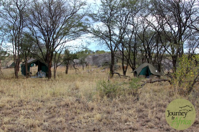 wilderness_tent_mess