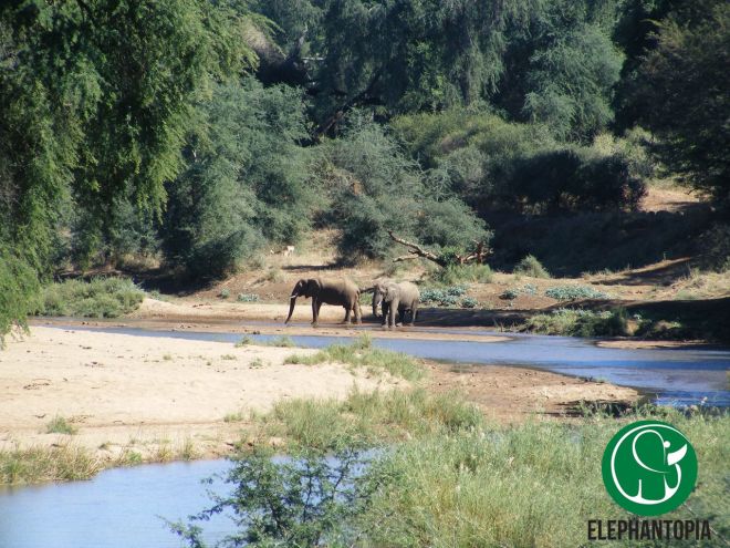 m2DwY7mlvGTRN1GzyG7gml_VWCYkRopvQjiHn6Qo2GA