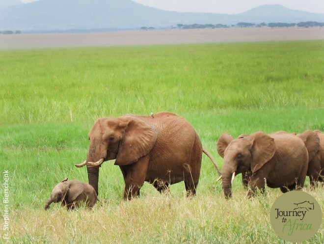 let_the_little_one_lead